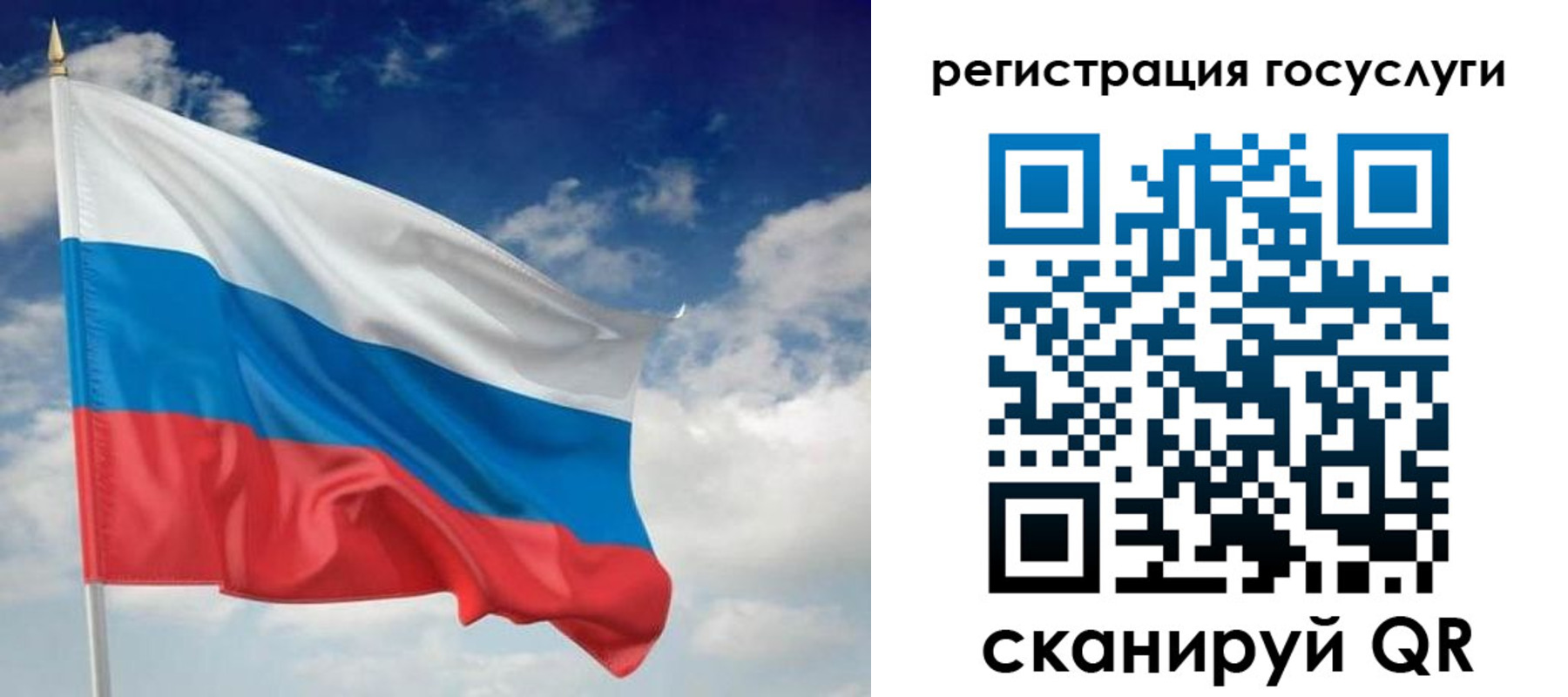 прописка гарантия в Геленджике